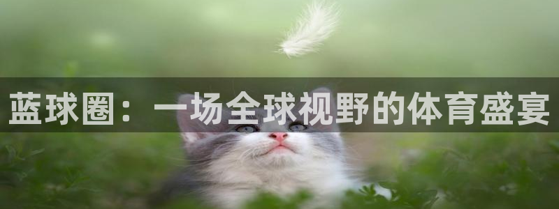 意昂4登陆：蓝球圈：一场全球视野的体育盛宴