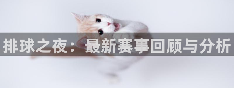 意昂4招商：排球之夜：最新赛事回顾与分析