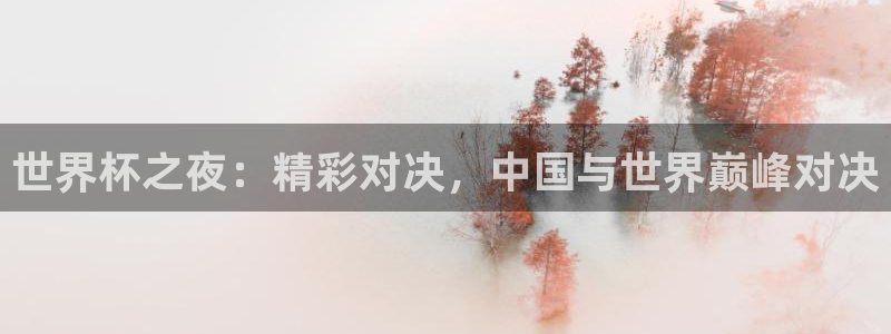意昂4主管：世界杯之夜：精彩对决，中国与世界巅峰对决