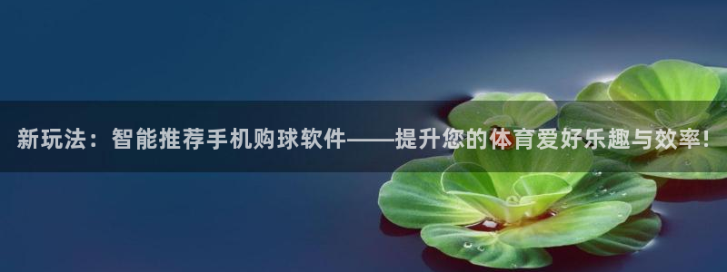 凯捷体育：新玩法：智能推荐手机购球软件——提升您的体育爱好乐