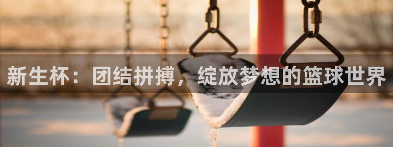 意昂4娱乐官网入口：新生杯：团结拼搏，绽放梦想的篮球世界