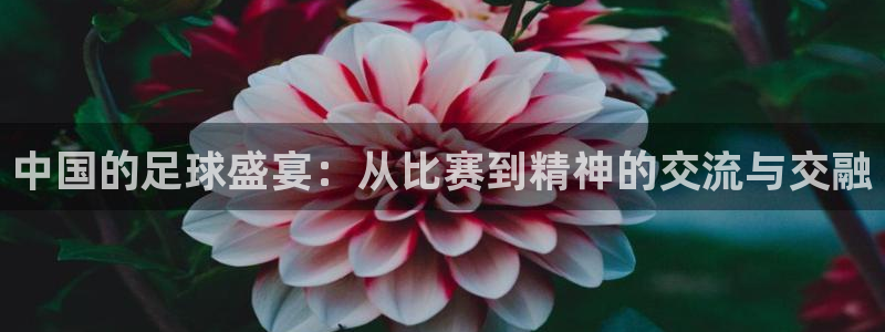 意昂4登录平台：中国的足球盛宴：从比赛到精神的交流与交融