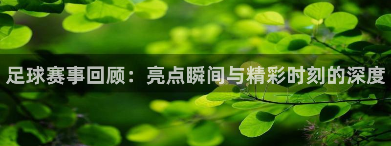 意昂4平台登录：足球赛事回顾：亮点瞬间与精彩时刻的深度