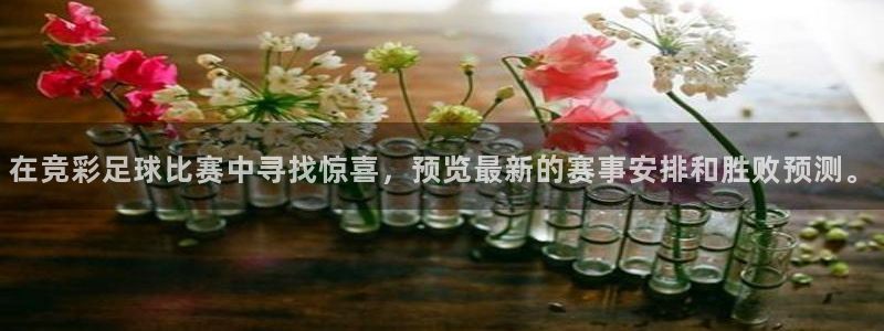 意昂4：在竞彩足球比赛中寻找惊喜，预览最新的赛事安排和胜败预