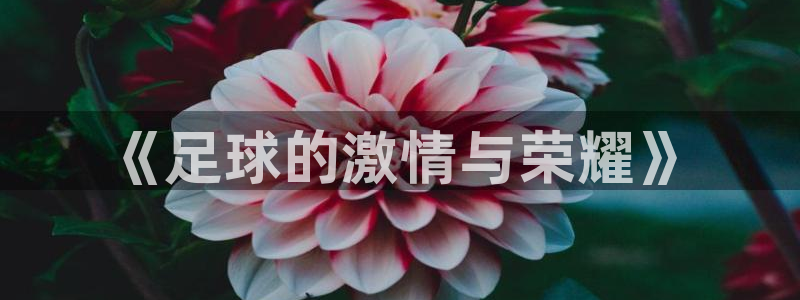 意昂4体育：《足球的激情与荣耀》