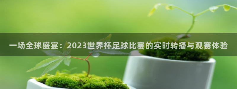 凯捷体育：一场全球盛宴：2023世界杯足球比赛的实时转播与观