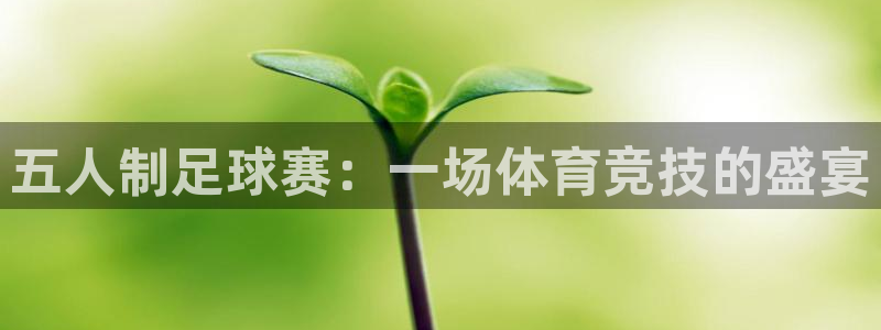 意昂4娱乐平台：五人制足球赛：一场体育竞技的盛宴